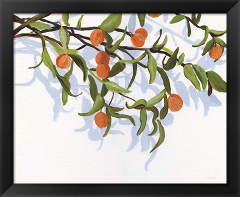 Framed Kumquats Print