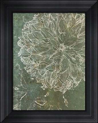 Framed Bud Growth 1 Print