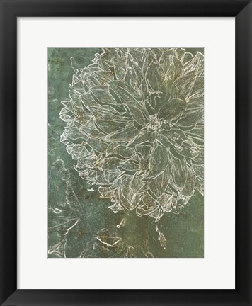 Framed Bud Growth 1 Print