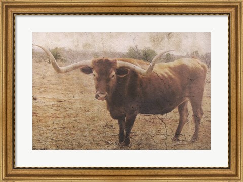 Framed Ranch Print