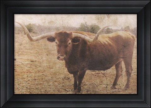 Framed Ranch Print