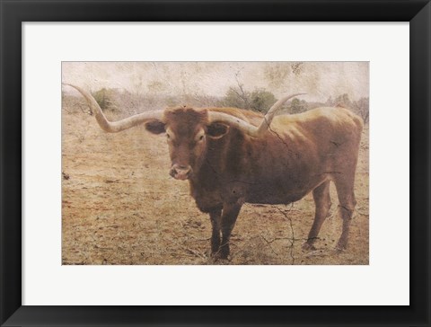 Framed Ranch Print