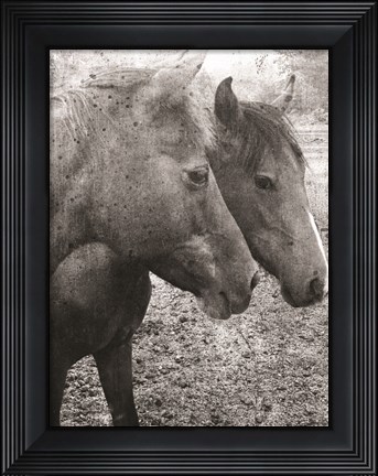Framed Salt and Pepper Print