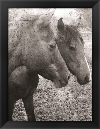 Framed Salt and Pepper Print