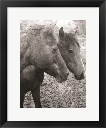 Framed Salt and Pepper Print