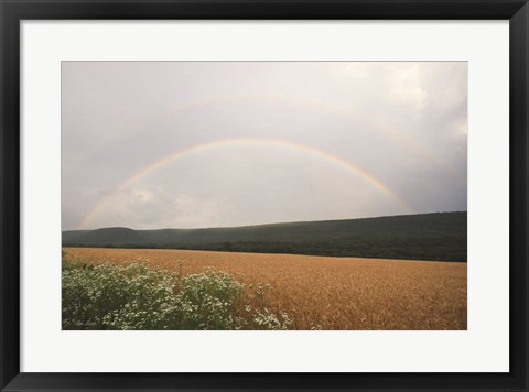 Framed Summer Rainbow Print