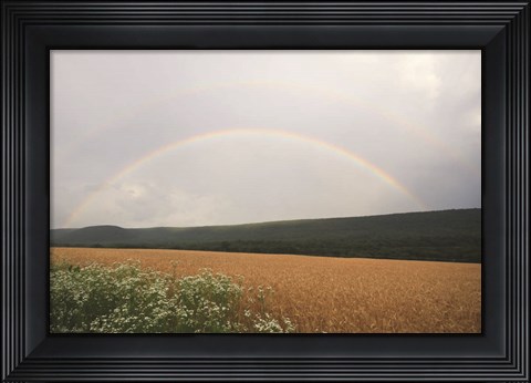 Framed Summer Rainbow Print