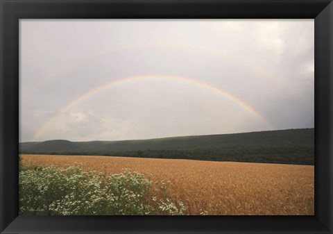 Framed Summer Rainbow Print