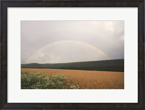 Framed Summer Rainbow Print