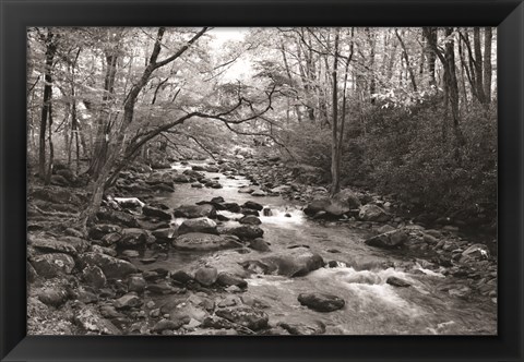 Framed Little Pigeon River I Print