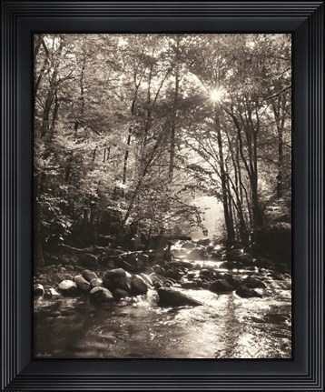Framed Little Pigeon River Portrait Print