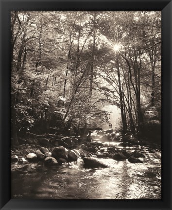 Framed Little Pigeon River Portrait Print