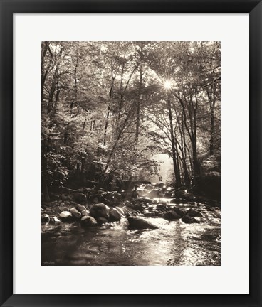 Framed Little Pigeon River Portrait Print