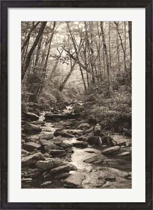 Framed Alum Cave Trail Print