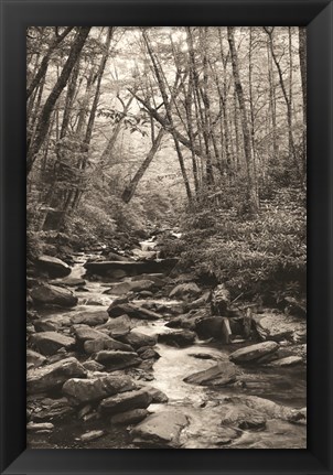 Framed Alum Cave Trail Print