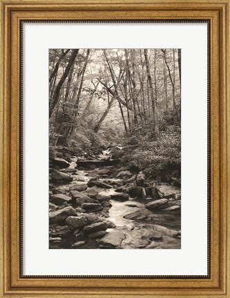 Framed Alum Cave Trail Print