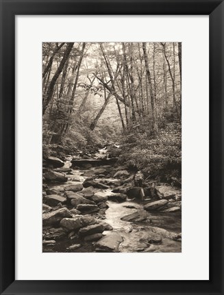 Framed Alum Cave Trail Print