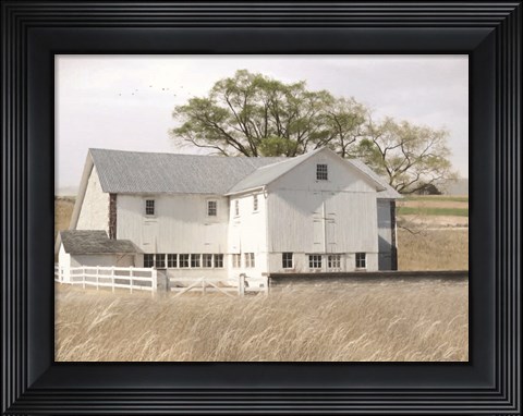 Framed White Summer Barn Print