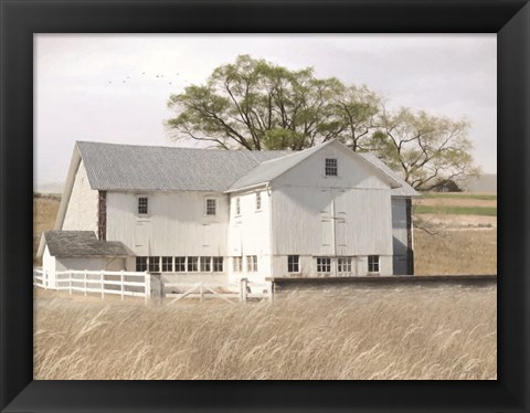 Framed White Summer Barn Print