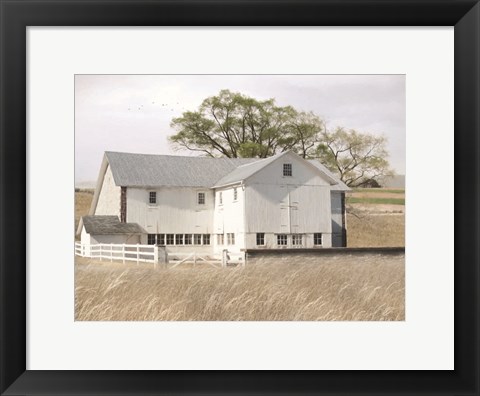 Framed White Summer Barn Print