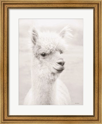 Framed Alpie the Alpaca Print