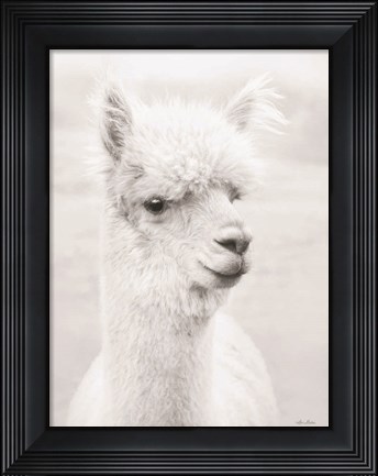 Framed Alpie the Alpaca Print