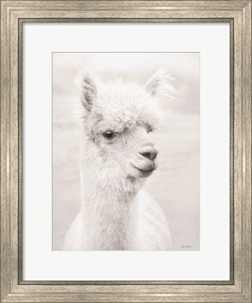 Framed Alpie the Alpaca Print