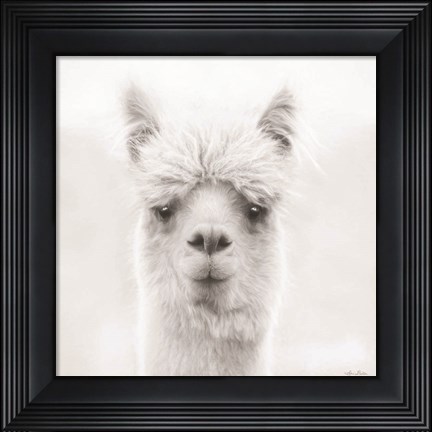 Framed Chip the Alpaca Print