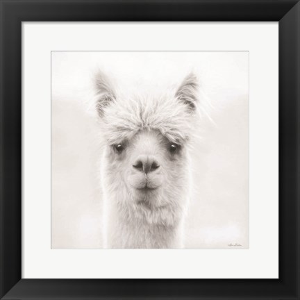 Framed Chip the Alpaca Print