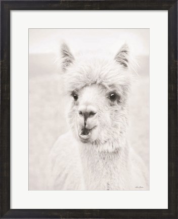 Framed Clover the Alpaca Print