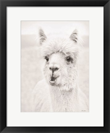 Framed Clover the Alpaca Print