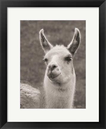 Framed Smiling Llama Print