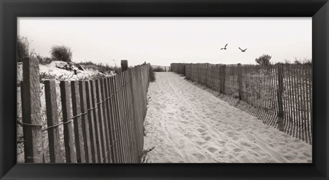 Framed Beach Path Print