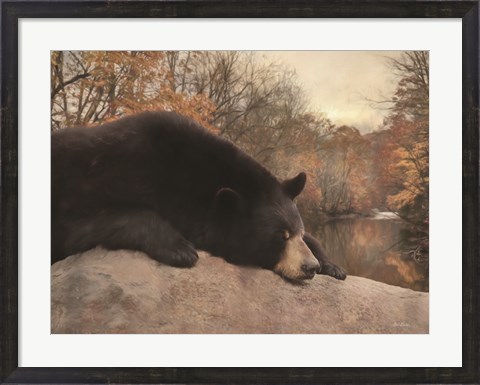 Framed Don&#39;t Poke the Bear Print