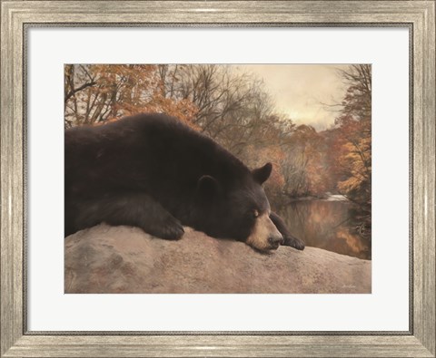 Framed Don&#39;t Poke the Bear Print