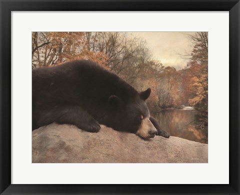 Framed Don&#39;t Poke the Bear Print