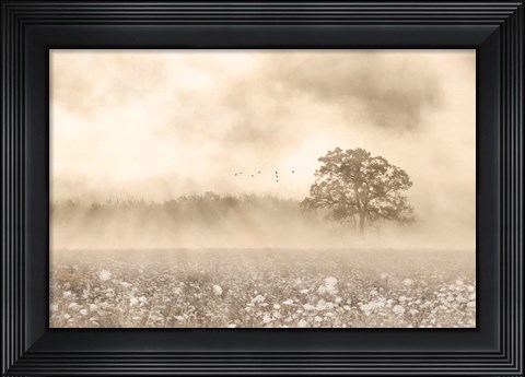 Framed Foggy Wildflower Field Print