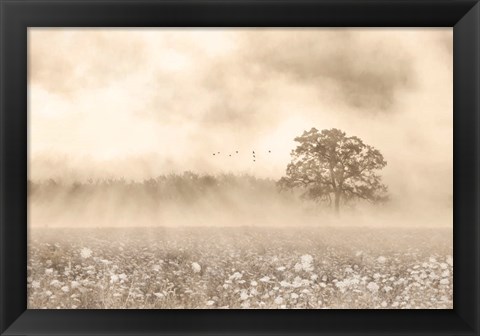 Framed Foggy Wildflower Field Print