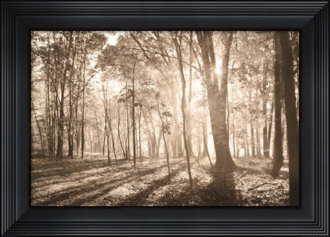 Framed Back to Nature Print