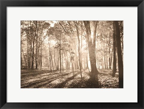 Framed Back to Nature Print