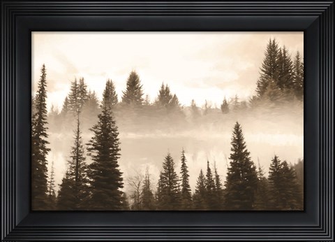 Framed Fog in the Forest Print