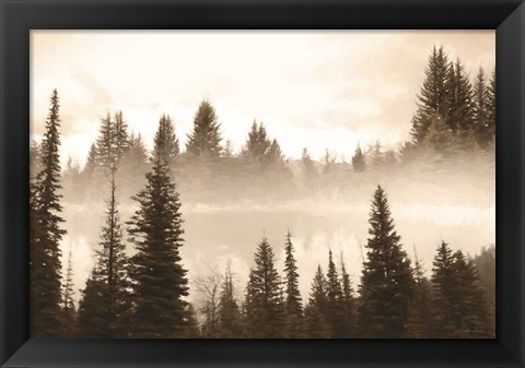 Framed Fog in the Forest Print
