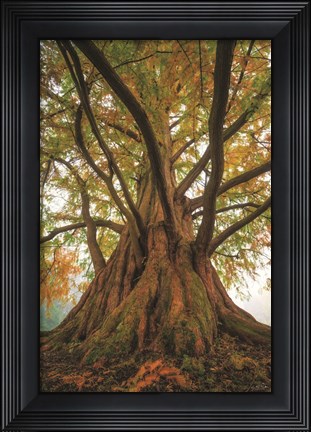 Framed Tentacle Tree Print