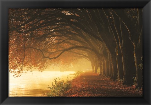 Framed Autumn Sunrise Print