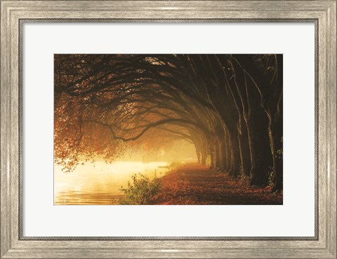Framed Autumn Sunrise Print