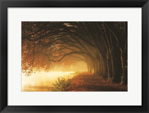 Framed Autumn Sunrise Print