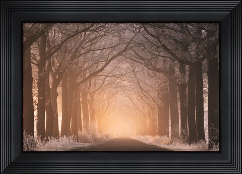 Framed Frosted Sunrise I Print