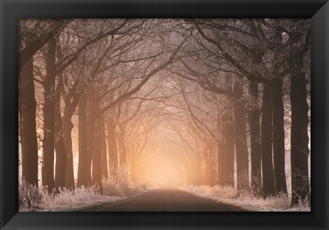 Framed Frosted Sunrise I Print