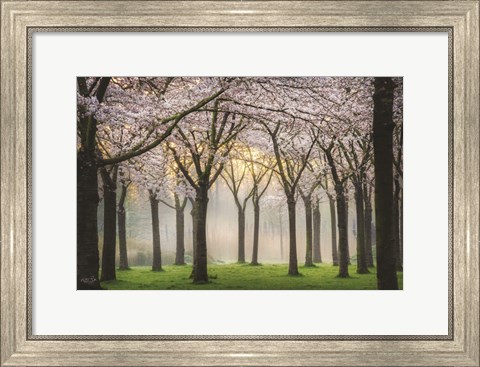 Framed Cherry Blossom Festival Print