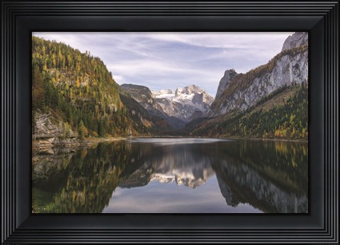 Framed Nature&#39;s Beauty Print